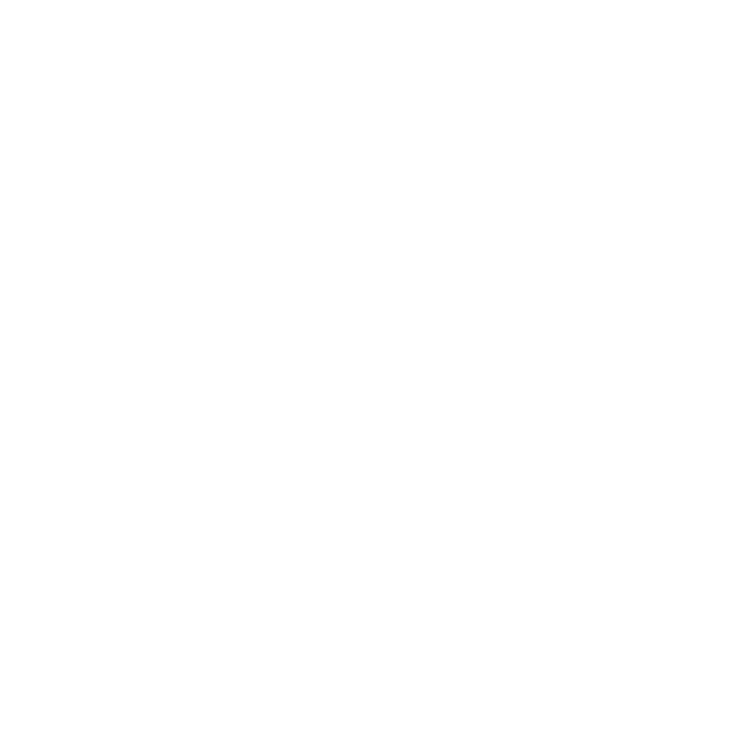 Venezia Mega logosu